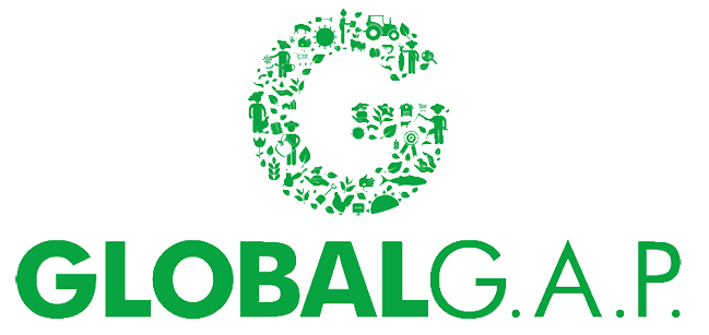 GlobalGab