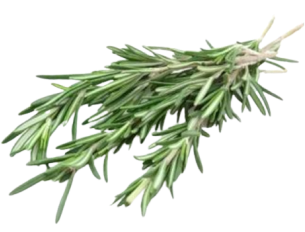 Rosemary