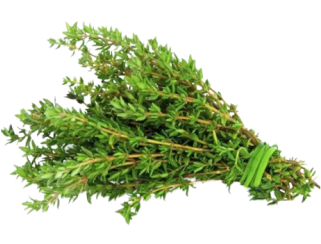 Thyme