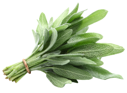 Sage